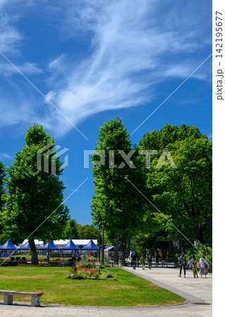 真夏の大通公園_3859 真夏の大通公園_3859 142195677