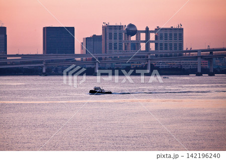 竹芝埠頭からの景観/お台場 竹芝埠頭からの景観/お台場 142196240
