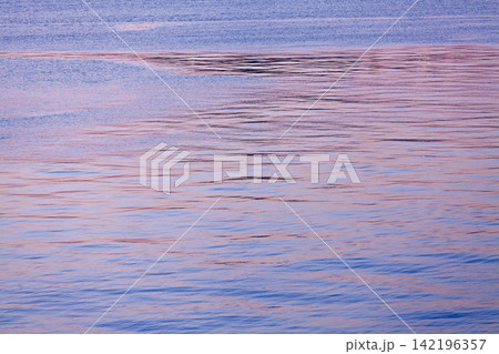 竹芝埠頭からの景観/水面 竹芝埠頭からの景観/水面 142196357
