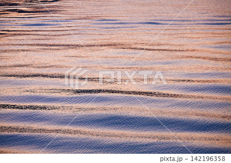 竹芝埠頭からの景観/水面 竹芝埠頭からの景観/水面 142196358