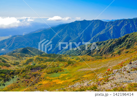 秋の快晴の朝 唐松岳の登山道から色付いた山肌越しに望む雲が浮かぶ遠方の山並み 秋の快晴の朝 唐松岳の登山道から色付いた山肌越しに望む雲が浮かぶ遠方の山並み 142196414