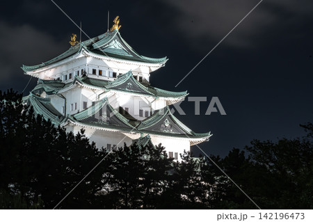 夜空に浮かぶ幻想的な名古屋城のライトアップ 夜空に浮かぶ幻想的な名古屋城のライトアップ 142196473