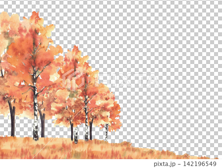 Watercolor golden Autumn landscape frame. Birch and deciduous trees forest with orange, red leaves, foliage and yellow fall grassy meadow. Hand painted October. Illustration isolated from background. Watercolor golden Autumn landscape frame. Birch and deciduous trees forest with orange, red leaves, foliage and yellow fall grassy meadow. Hand painted October. Illustration isolated from background. 142196549
