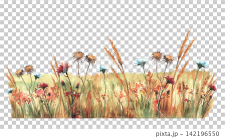 Autumn field with red, orange wildflowers, tall green yellow grasses and warm seasonal vegetation. Hand-painted watercolor nature meadow, fall landscape element. illustration isolated from background. Autumn field with red, orange wildflowers, tall green yellow grasses and warm seasonal vegetation. Hand-painted watercolor nature meadow, fall landscape element. illustration isolated from background. 142196550