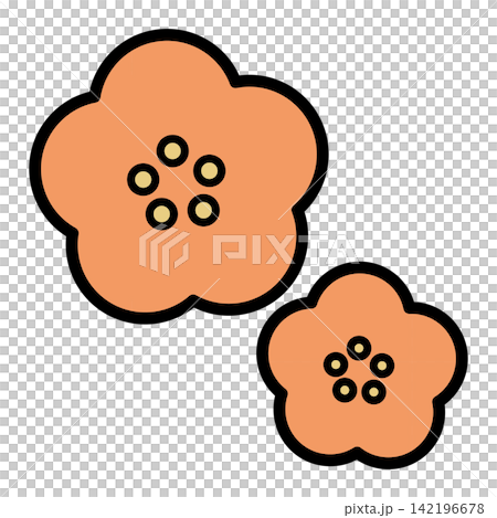 Plum blossom  142196678