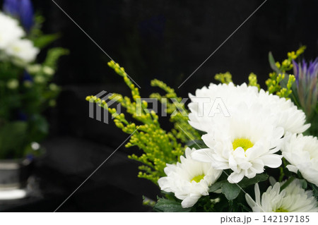 白い菊の花 お墓に添えられた仏花 墓前 お墓参り お彼岸 お盆 白い菊の花 お墓に添えられた仏花 墓前 お墓参り お彼岸 お盆 142197185