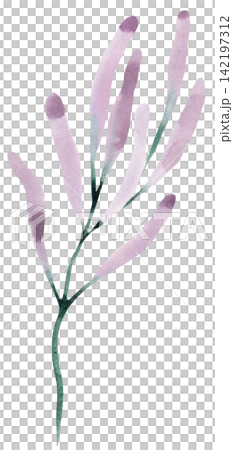Watercolor light purple wildflowers, spring floral isolated illustration for wedding stationery Watercolor light purple wildflowers, spring floral isolated illustration for wedding stationery 142197312