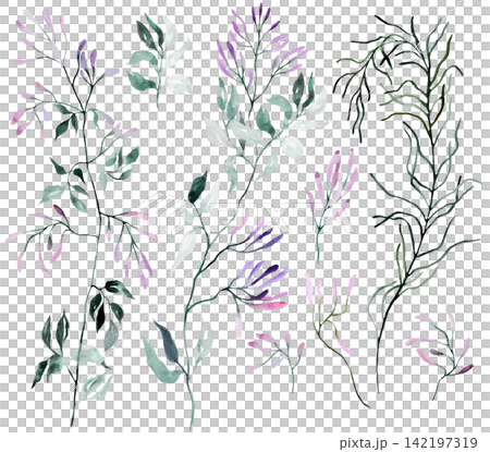 Watercolor light purple wildflowers clipart , floral isolated illustration for wedding stationery 142197319