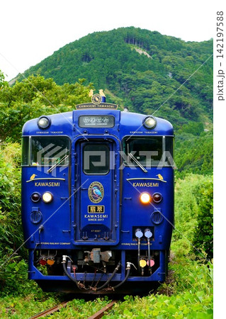 青い車体と新緑の風景 特急「かわせみ やませみ」 青い車体と新緑の風景 特急「かわせみ やませみ」 142197588