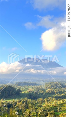 Mount Agung volcano in Bali emerging from white clouds, overlooking lush tropical rice fields and palm trees under a bright blue sky, showing Indonesia's scenic nature Mount Agung volcano in Bali emerging from white clouds, overlooking lush tropical rice fields and palm trees under a bright blue sky, showing Indonesia's scenic nature 142197627