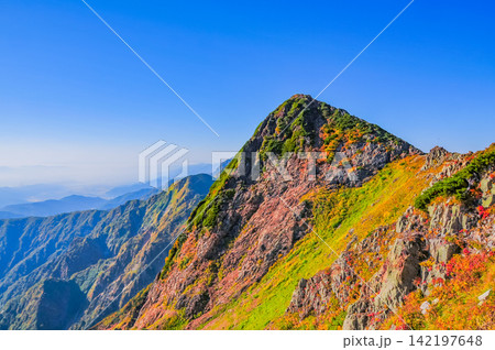 秋の快晴の朝 唐松岳の登山道から快晴の青空のもとに望む色付いた山肌の風景 秋の快晴の朝 唐松岳の登山道から快晴の青空のもとに望む色付いた山肌の風景 142197648