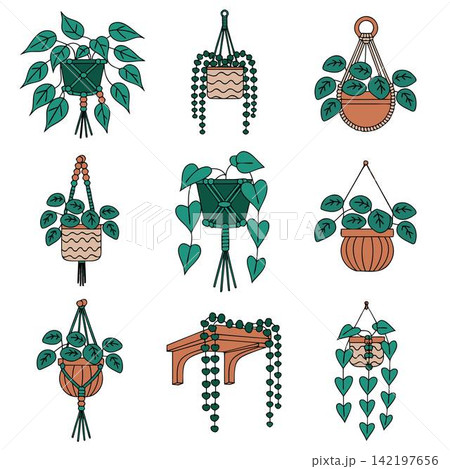 The image shows a collection of vector illustrations of various indoor climbing and trailing plants 142197656