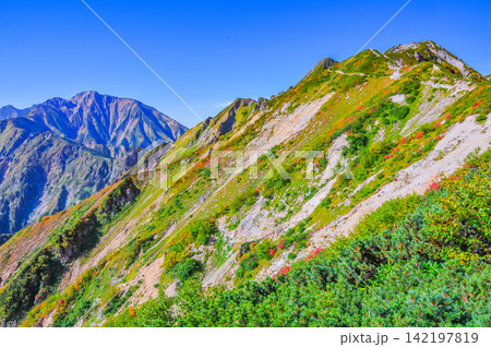 秋の快晴の朝 唐松岳の登山道から快晴の青空のもとに望む五竜岳方面の山並み 142197819