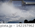 ジャンプして水飛沫をあげるシャチ 142197962