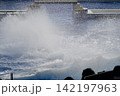 大きな水飛沫をあげる黒い鯱 142197963