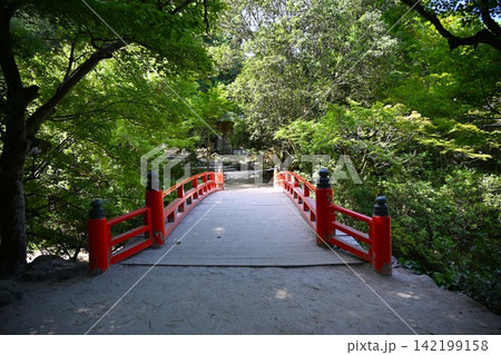 夏の紅葉谷公園 広島 夏の紅葉谷公園 広島 142199158