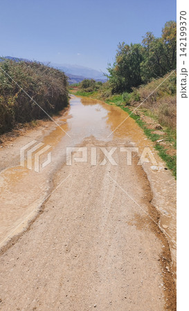 Flooded unpaved dirt path caused by burst pipe water leak on rural countryside lane surrounded by green bushes stock photo 142199370