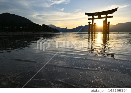 夕暮れの厳島神社大鳥居 広島 夕暮れの厳島神社大鳥居 広島 142199594