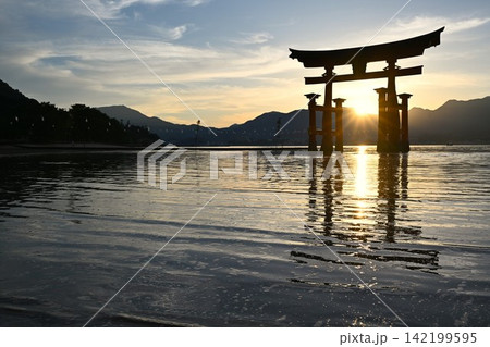 夕暮れの厳島神社大鳥居　広島 142199595