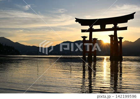 夕暮れの厳島神社大鳥居　広島 142199596