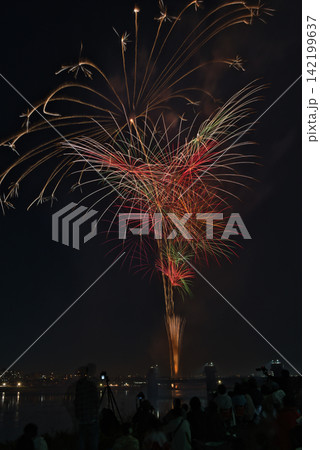 夜空に打ちあがる花火 夏の夜空に咲く花火　夜空に咲く花火　高く輝く花火大会　花火　夜空　花火イメージ 142199637