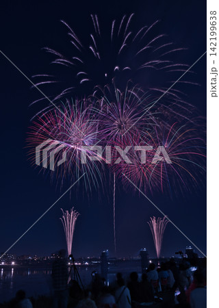夜空に打ちあがる花火 夏の夜空に咲く花火　夜空に咲く花火　高く輝く花火大会　花火　夜空　花火イメージ 142199638