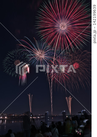 夜空に打ちあがる花火 夏の夜空に咲く花火 夜空に咲く花火 高く輝く花火大会 花火 夜空 花火イメージ 夜空に打ちあがる花火 夏の夜空に咲く花火 夜空に咲く花火 高く輝く花火大会 花火 夜空 花火イメージ 142199639