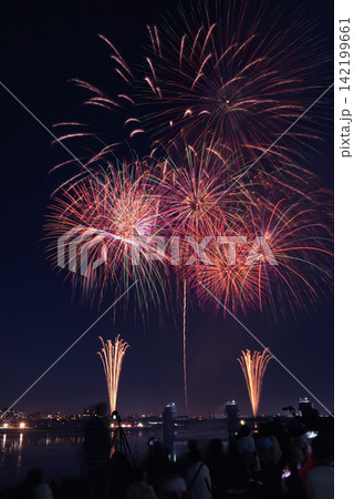 夜空に打ちあがる花火 夏の夜空に咲く花火　夜空に咲く花火　高く輝く花火大会　花火　夜空　花火イメージ 142199661