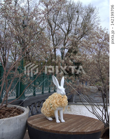 White rabbit figure in the city park 142199706