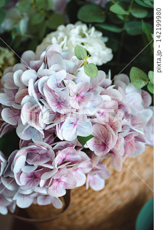 Rustic cottagecore still life with delicate pink hydrangea and eucalyptus foliage Rustic cottagecore still life with delicate pink hydrangea and eucalyptus foliage 142199980