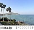 リゾートと海岸 142200245