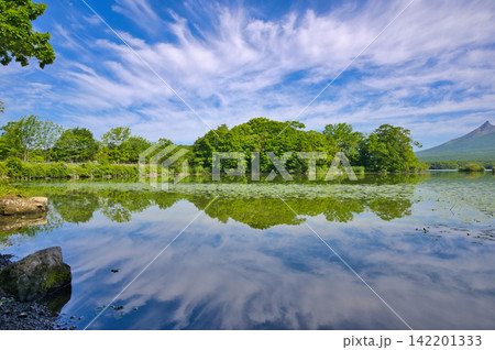 大沼公園の夏空 大沼公園の夏空 142201333