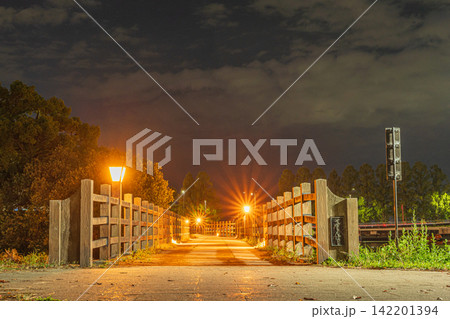 夜の膳所城跡公園 滋賀県大津市 夜の膳所城跡公園 滋賀県大津市 142201394