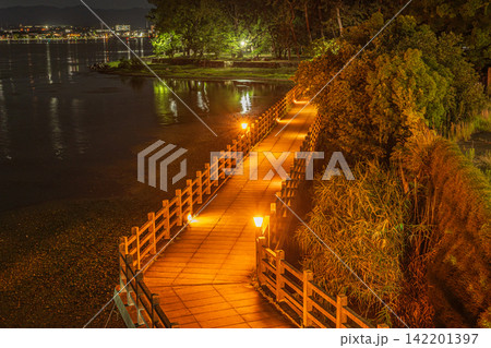 夜の膳所城跡公園　滋賀県大津市 142201397