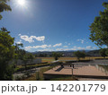 夏の早朝、公園の風景 142201779
