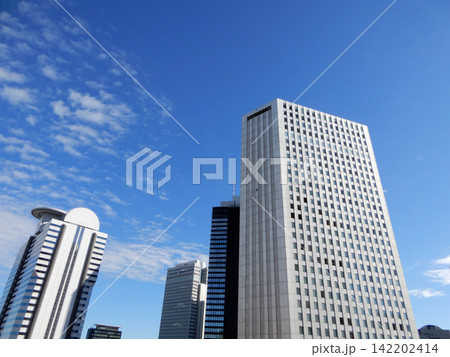 秋の青空を背景にした西新宿の高層ビル群 秋の青空を背景にした西新宿の高層ビル群 142202414
