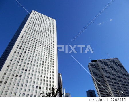 秋の青空を背景にした西新宿の高層ビル群 秋の青空を背景にした西新宿の高層ビル群 142202415