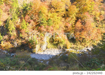 秋の白山白川郷ホワイトロード 蛇谷の尾添川 秋の白山白川郷ホワイトロード 蛇谷の尾添川 142202440