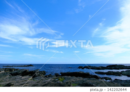 城ヶ島の海沿いに広がる雄大な青空と水平線を望むパノラマ風景 城ヶ島の海沿いに広がる雄大な青空と水平線を望むパノラマ風景 142202644
