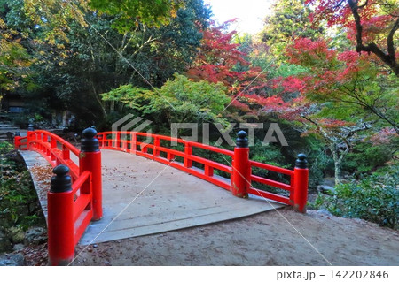 【広島県】日本三景安芸の宮島の紅葉谷公園 142202846