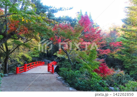 【広島県】日本三景安芸の宮島の紅葉谷公園 【広島県】日本三景安芸の宮島の紅葉谷公園 142202850
