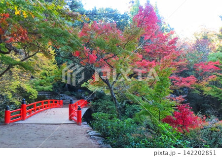 【広島県】日本三景安芸の宮島の紅葉谷公園 142202851