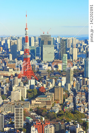 東京都港区、東京タワーと東京の街並みの風景 142202891