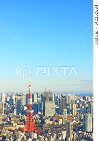 東京都港区、東京タワーと東京の街並みの風景 142202893