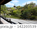 新緑の美しい五重塔と手前の縁側から眺める日本庭園の風景 142203539