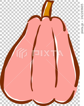 Pink Pumpkin Hand Drawn Illustration 142203605