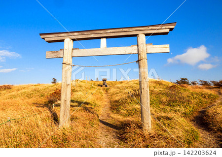 山頂の鳥居 142203624