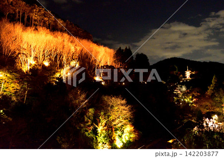 ライトアップに浮かぶ山の紅葉と三重塔(京都・清水寺の夜) ライトアップに浮かぶ山の紅葉と三重塔(京都・清水寺の夜) 142203877