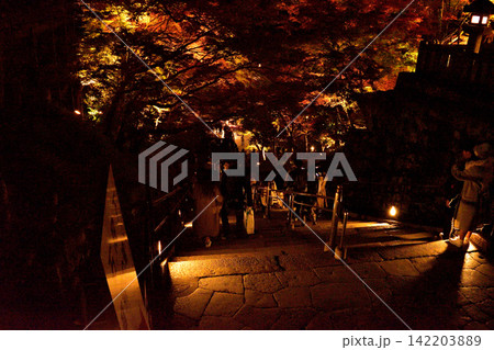 ライトアップの紅葉トンネルと夜の参道(京都・清水寺) ライトアップの紅葉トンネルと夜の参道(京都・清水寺) 142203889