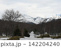 雪に覆われた山と冬の森を歩く雪道の風景 142204240